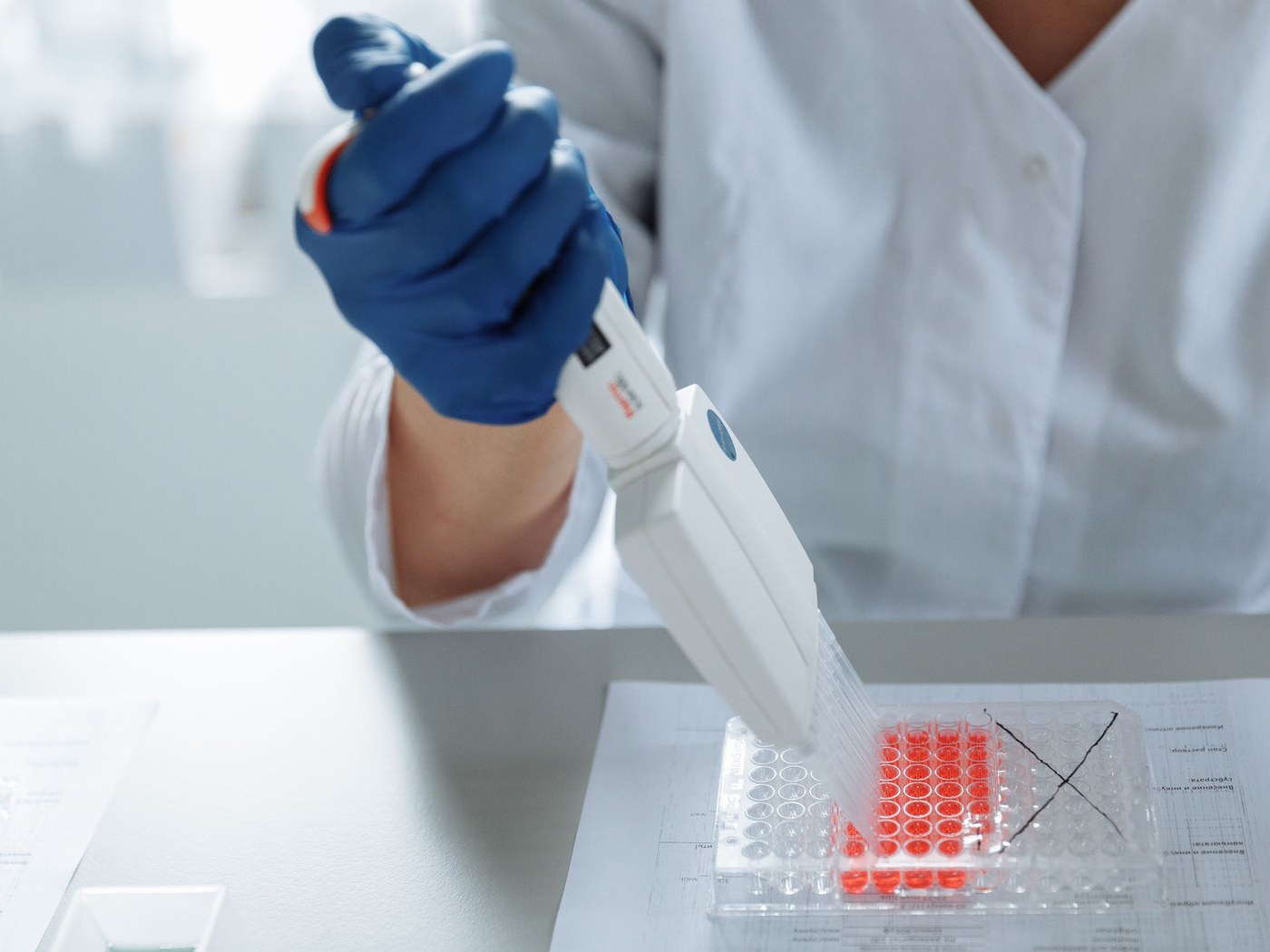Persona con bata blanca y guantes azules que usa una pipeta multicanal sobre una placa de pocillos en un laboratorio.