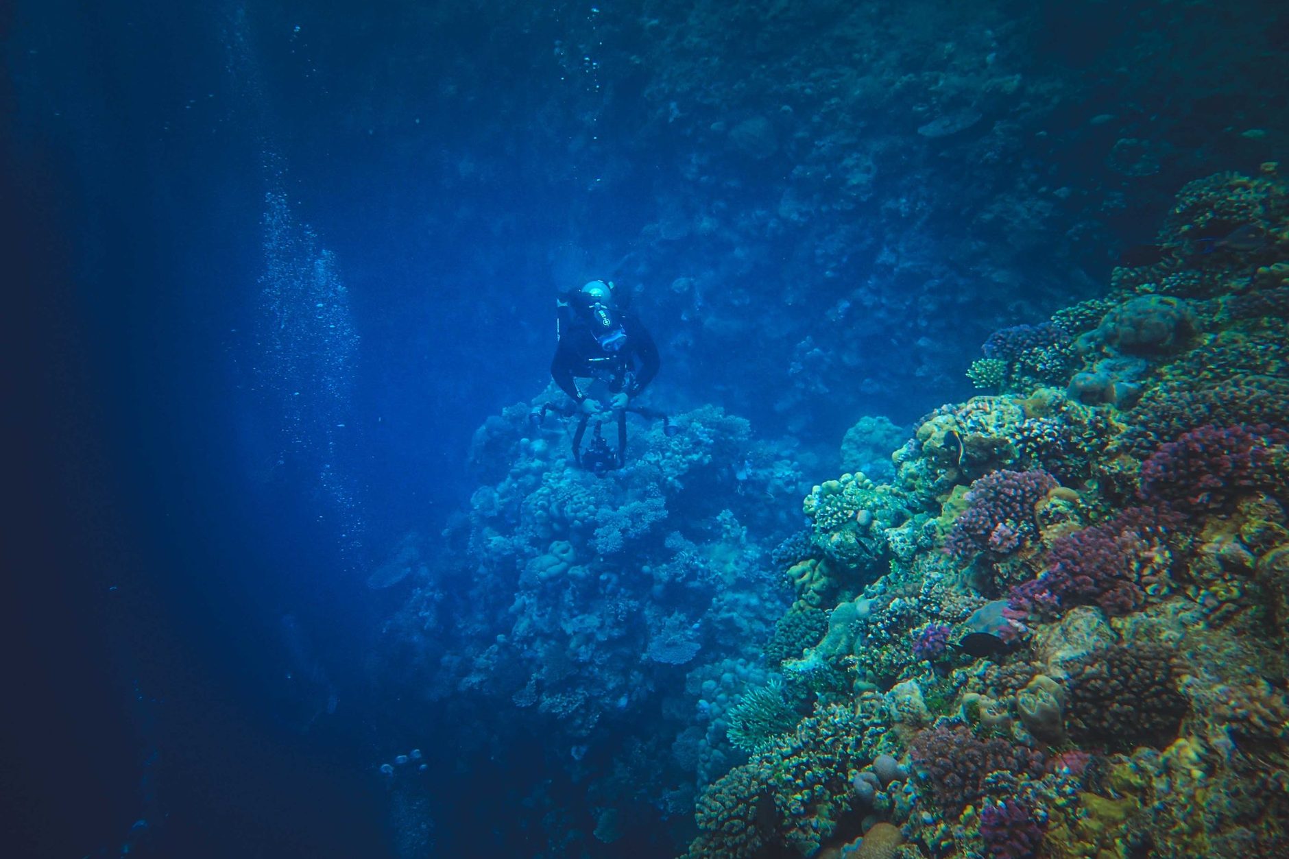 Buzo con equipo de buceo junto a un arrecife de coral, con burbujas ascendiendo en aguas azules profundas.