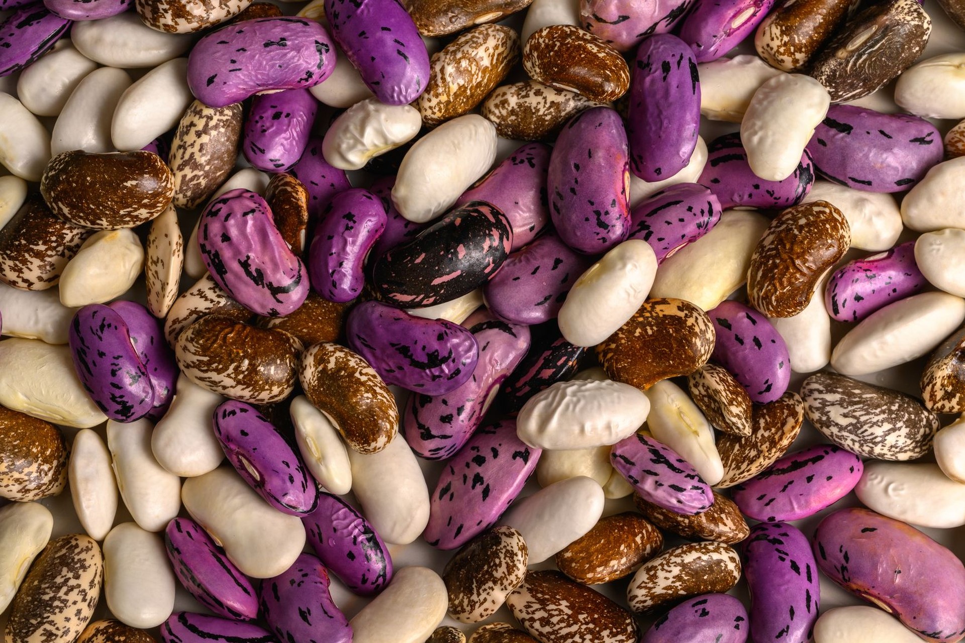 Semillas de frijol de varios colores y patrones —blancas, moteadas y moradas— amontonadas en primer plano.