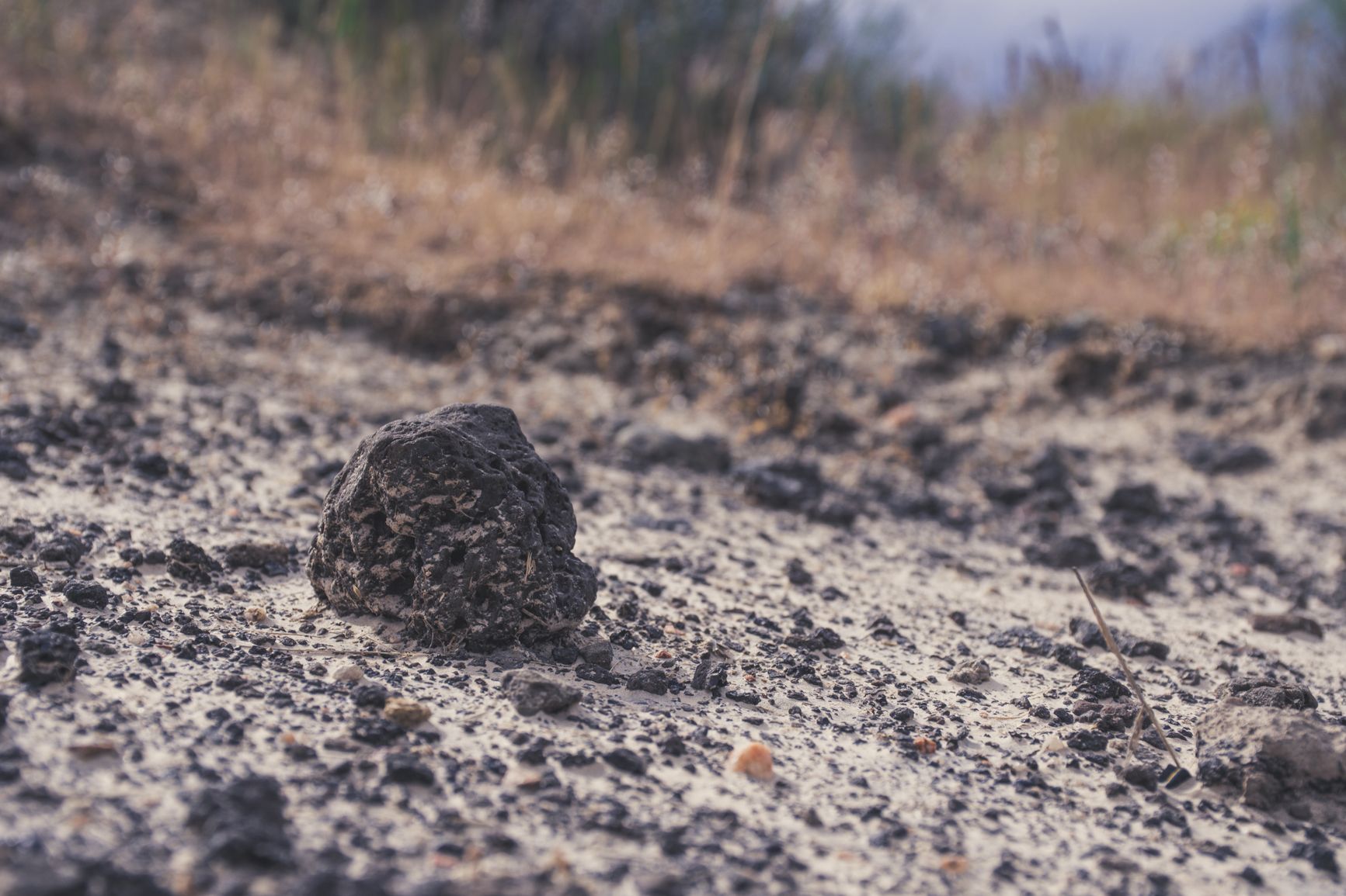 Rocas dispersas sobre el terreno