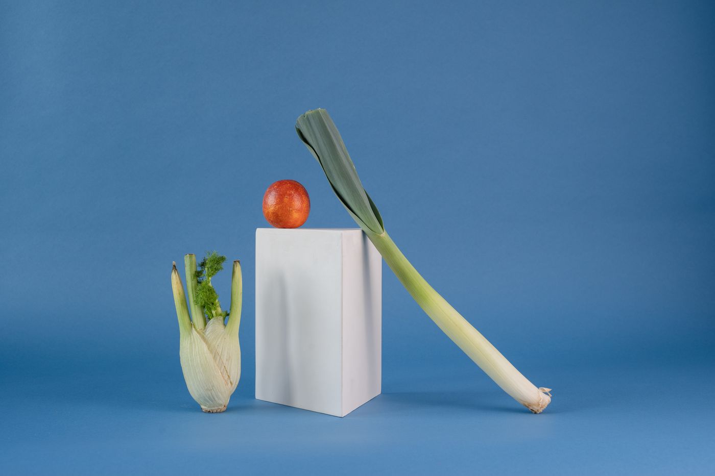 Salud y Nutrición: cómo el cuerpo aprovecha los alimentos y se protege de las enfermedades