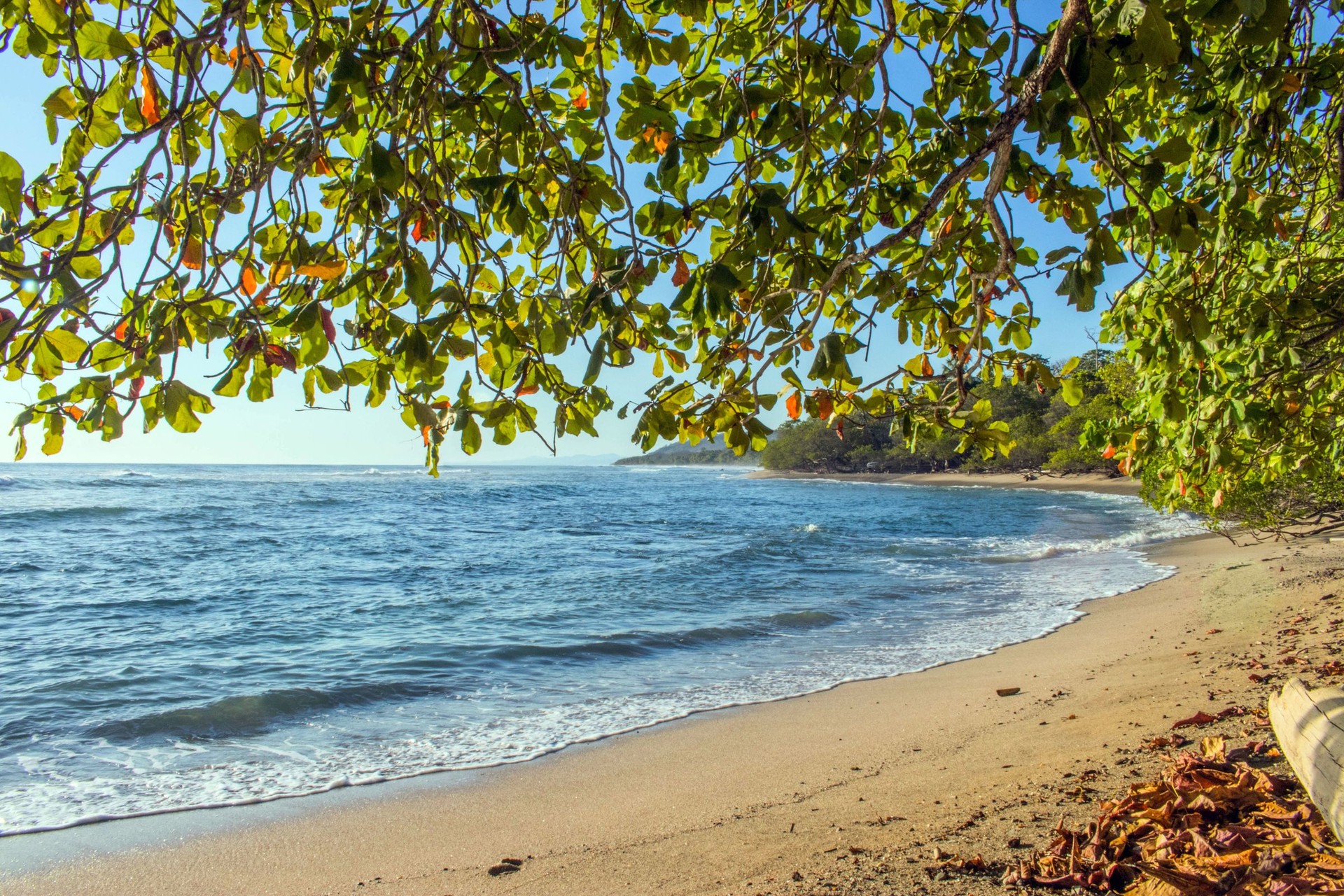 Región Pacífico Central: territorio, clima y economía de la costa
