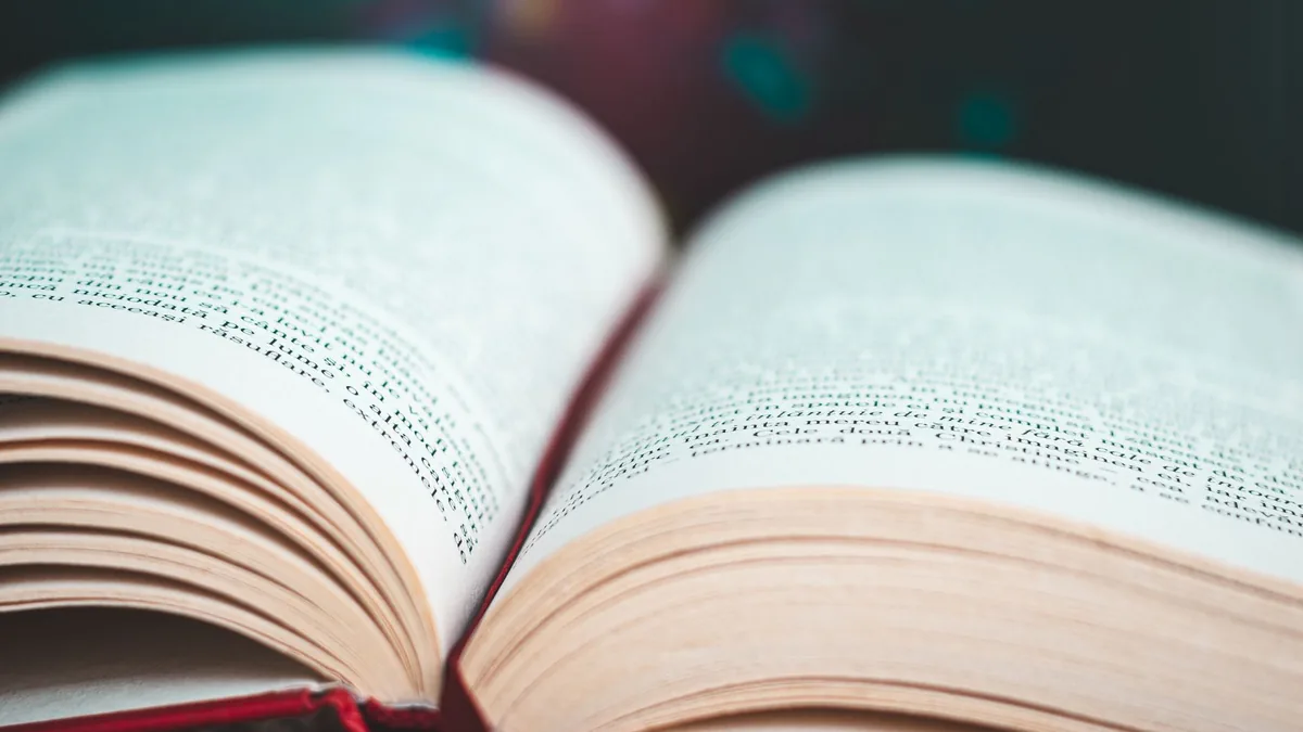 Claves para analizar el “yo lírico” en la poesía tica